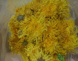 新鮮菊花怎么曬干？新鮮菊花怎么處理？