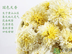 菊花茶可以放冰箱嗎？菊花茶能放冰箱冷凍嗎？