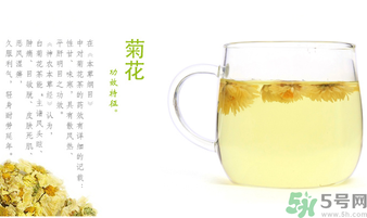 菊花茶可以放冰箱嗎？菊花茶能放冰箱冷凍嗎？