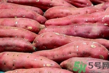 紅薯和什么搭配吃最好？紅薯和什么搭配最營養(yǎng)？