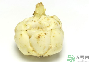 新鮮百合可以放冰箱嗎？鮮百合可以冷凍嗎？