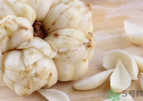 新鮮百合可以放冰箱嗎？鮮百合可以冷凍嗎？