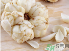 新鮮百合什么時候上市？鮮百合什么時候上市？