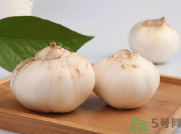 新鮮百合什么時候上市？鮮百合什么時候上市？