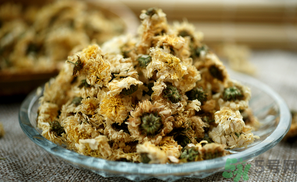 干菊花長蟲怎么辦？干菊花長蟲還能喝嗎？