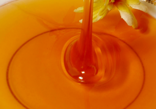 野生蜂蜜怎么提??？野生蜂蜜怎么過濾？