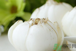 新鮮百合可以生吃嗎？新鮮百合能吃嗎？