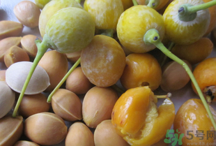 新鮮白果怎么保存？新鮮白果的保存方法