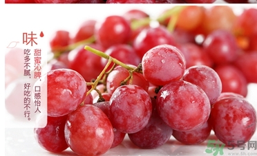 紅提的籽能吃嗎？紅提的籽怎么吃最好？