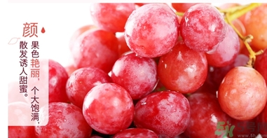 吃紅提要剝皮嗎？紅提皮可以吃嗎？