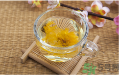 菊花茶可以天天喝嗎？菊花茶喝多了會怎么樣？