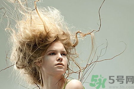 冬天用什么梳子比較好？頭發(fā)總愛靜電用什么梳子好？