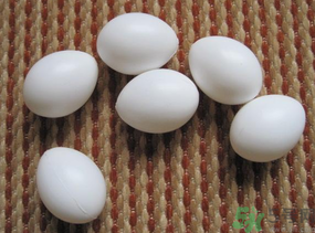 鴿子蛋多少錢一個？鴿子蛋多少錢一斤？?