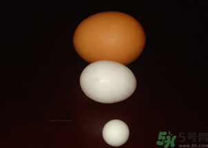 鴿子蛋多少錢一個？鴿子蛋多少錢一斤？?