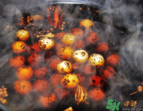 鵪鶉蛋煮多久能熟？鵪鶉蛋怎么煮？