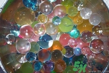 誤食水寶寶有毒嗎？誤食水寶寶后該怎么辦？