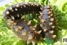 新鮮海參怎么吃最有營養(yǎng)？新鮮海參生吃最有營養(yǎng)嗎？