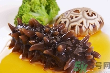 新鮮海參怎么吃最好？新鮮海參生吃最好嗎？