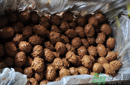 咸鴨蛋腌多久可以吃？咸鴨蛋怎么腌制好吃？