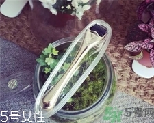 微針可以自己在家做嗎?家用微針幫你祛痘 微針可以自己在家做嗎?家用微針幫你祛痘