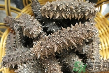 一天中海參什么時候吃最好？吃海參的最佳時間