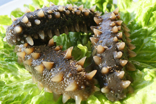 吃完海參能吃水果嗎？吃完海參后多久能吃水果？