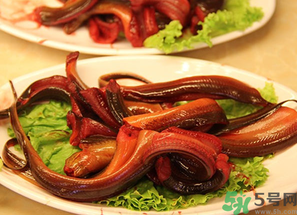 黃鱔的營養(yǎng)價(jià)值 黃鱔的功效與作用 黃鱔的營養(yǎng)價(jià)值 黃鱔的功效與作用