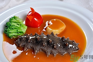 海參可以泡酒嗎?海參泡酒有什么功效 海參可以泡酒嗎?海參泡酒有什么功效