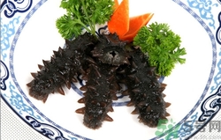 海參可以冷凍嗎?海參冷凍能放多久 海參可以冷凍嗎?海參冷凍能放多久