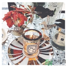 diptyque飛鳥(niǎo)燭臺(tái)多少錢(qián)？diptyque飛鳥(niǎo)燭臺(tái)哪里買？