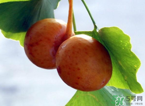 白果可以生吃嗎？白果怎么吃？