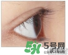 圣雪蘭睫毛增長液多少錢?圣雪蘭睫毛增長液專柜價格 圣雪蘭睫毛增長液多少錢?圣雪蘭睫毛增長液專柜價格