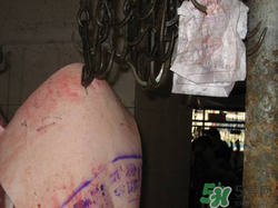 豬皮上的印章如何去除？豬肉上的印章怎么去掉？