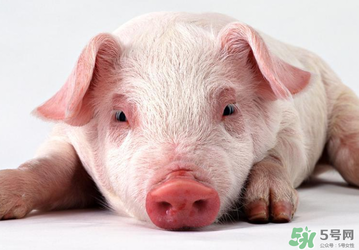 豬皮上的毛怎么去掉？豬皮上的毛能吃嗎？