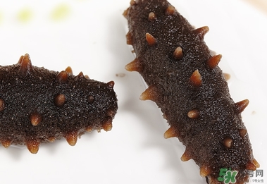 吃海參惡心是怎么回事？吃海參惡心怎么辦？