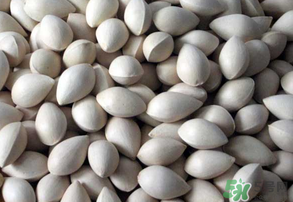 吃白果有什么好處和壞處？吃白果有什么作用？