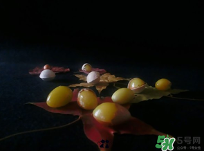 白果可以放微波爐嗎？白果放微波爐轉(zhuǎn)幾分鐘？