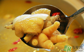 孕婦可以吃老母雞嗎？孕婦吃老母雞好嗎？