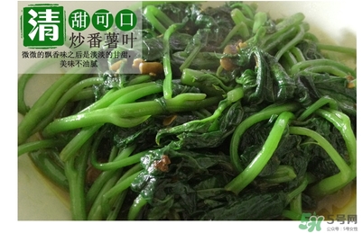 紅薯葉哺乳期可以吃嗎？紅薯葉產(chǎn)婦可以吃嗎？