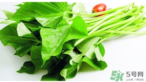 紅薯葉不能和什么一起吃？紅薯葉什么不能吃？