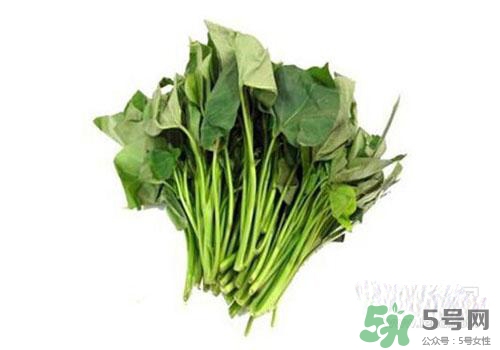 紅薯葉吃多了好嗎？紅薯葉吃多了會怎樣？