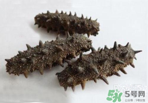 海參肚子里的筋能吃嗎？海參肚子里的筋吃了有什么作用？