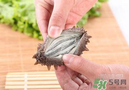 海參肚子里的筋能吃嗎？海參肚子里的筋吃了有什么作用？