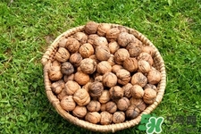 經(jīng)常吃核桃記憶力會(huì)提高嗎？長(zhǎng)期吃核桃有什么好處？