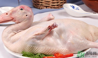 鴨肉可以放冰箱嗎？鴨肉放冰箱能保鮮多久？