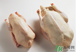 鴨肉可以放冰箱嗎？鴨肉放冰箱能保鮮多久？