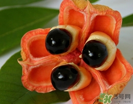 阿奇果怎么吃？阿奇果的功效作用