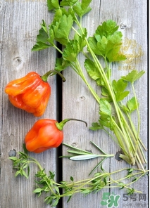 阿奇果怎么吃？阿奇果的功效作用