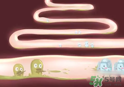 益生菌可以長期吃嗎？益生菌什么時(shí)候吃比較好？