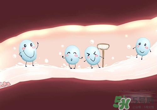 益生菌可以長期吃嗎？益生菌什么時(shí)候吃比較好？